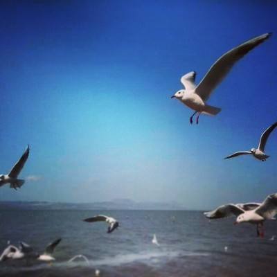 中国式富豪测试版下载